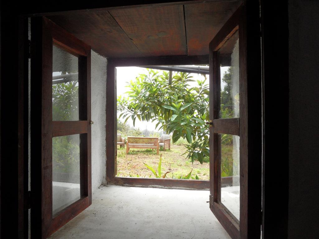 Finca Cueva Del Viento イコー・デ・ロス・ビノス 部屋 写真