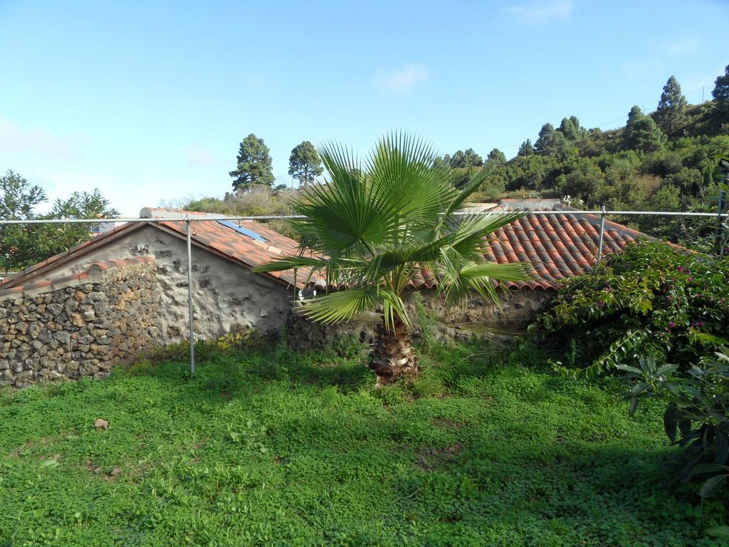 Finca Cueva Del Viento イコー・デ・ロス・ビノス 部屋 写真